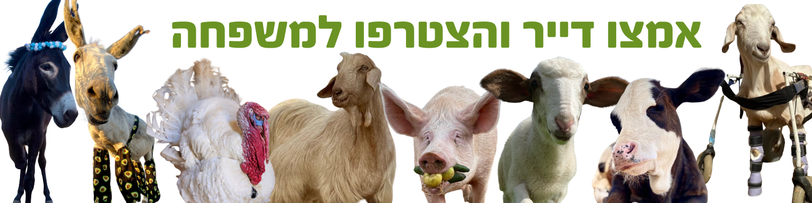 דיירי חוות החופש - אימוץ וירטואלי