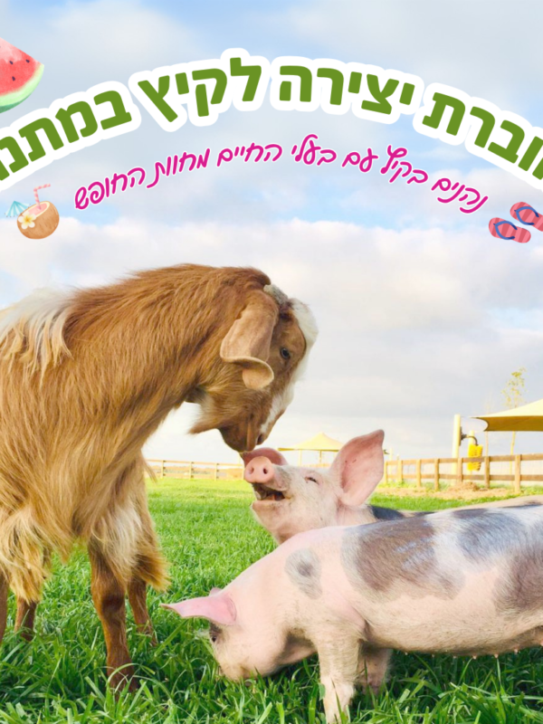 נהנים בקיץ עם בעלי החיים מחוות החופש