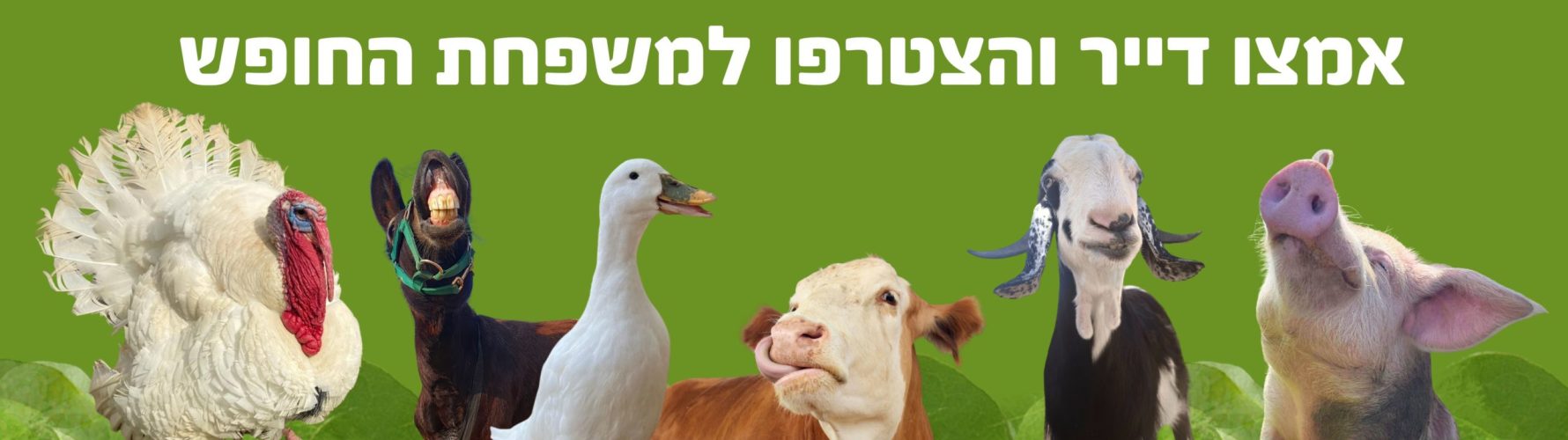 באנר לאמץ חבר (1)